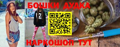 индика Обнинск