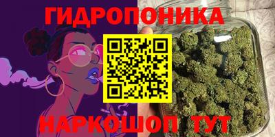 индика Обнинск