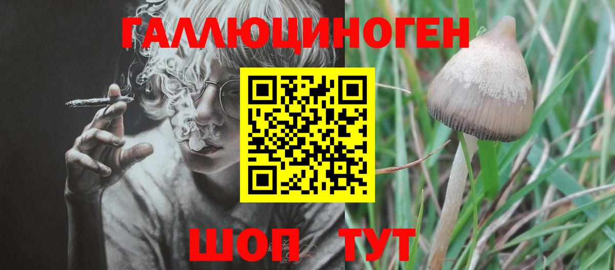 Галлюциногенные грибы ЛСД Сосновый Бор