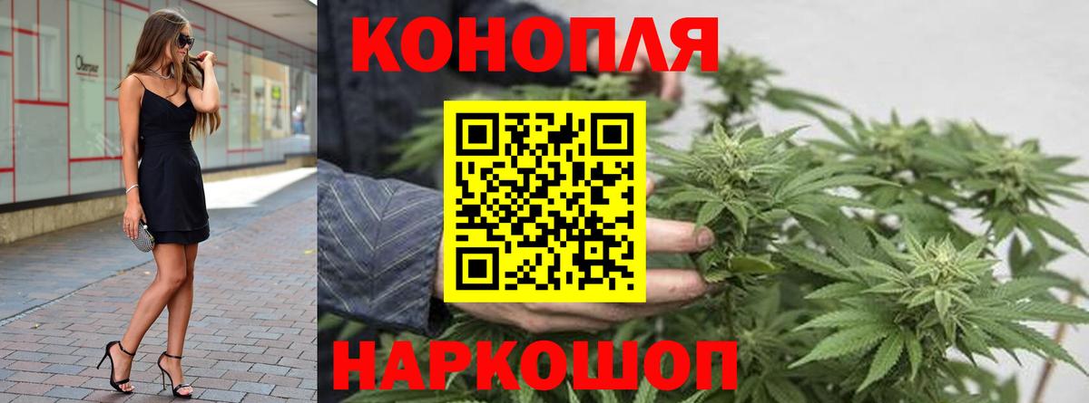 Конопля план  Вход с VPN  Шишки марихуана THC 21%  Сосновый Бор  Каннабис планчик 